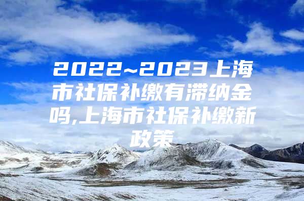 2022~2023上海市社保补缴有滞纳金吗,上海市社保补缴新政策