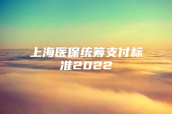 上海医保统筹支付标准2022