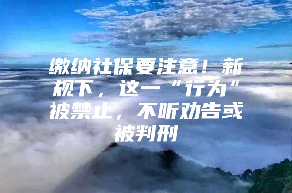 缴纳社保要注意！新规下，这一“行为”被禁止，不听劝告或被判刑