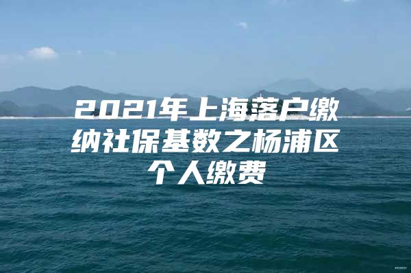 2021年上海落户缴纳社保基数之杨浦区个人缴费