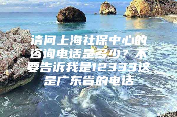 请问上海社保中心的咨询电话是多少？不要告诉我是12333这是广东省的电话