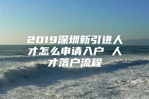 2019深圳新引进人才怎么申请入户 人才落户流程