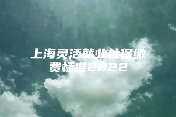 上海灵活就业社保缴费标准2022