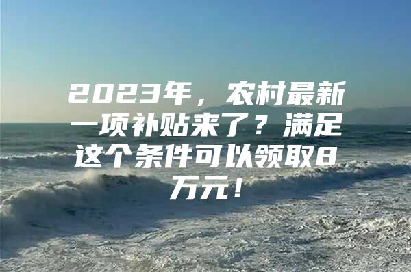 2023年，农村最新一项补贴来了？满足这个条件可以领取8万元！