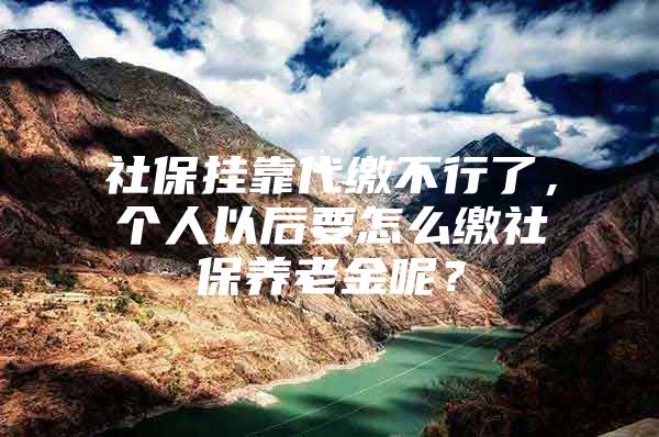 社保挂靠代缴不行了，个人以后要怎么缴社保养老金呢？