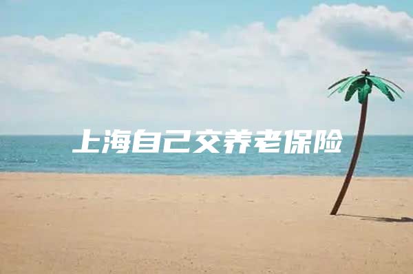 上海自己交养老保险