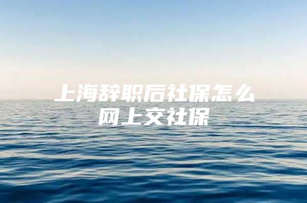 上海辞职后社保怎么网上交社保