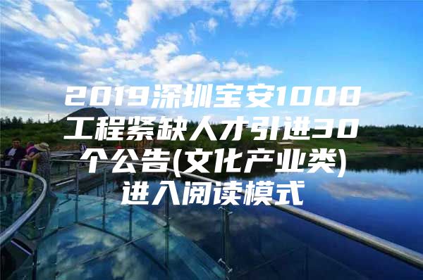 2019深圳宝安1000工程紧缺人才引进30个公告(文化产业类)进入阅读模式