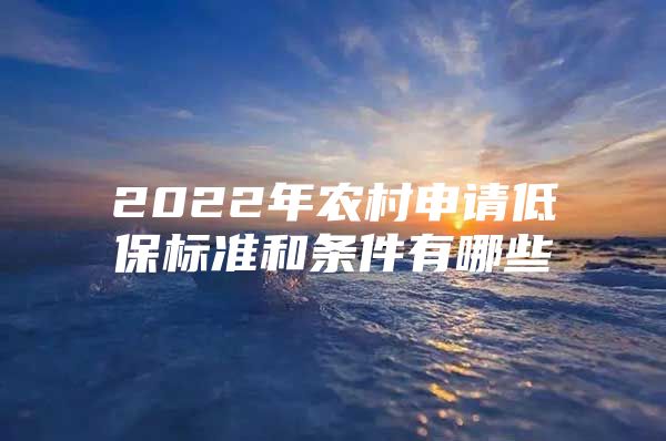 2022年农村申请低保标准和条件有哪些