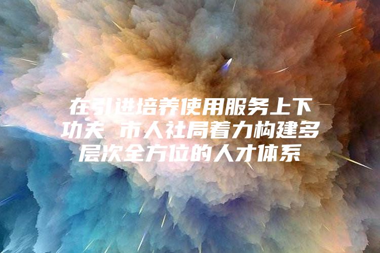 在引进培养使用服务上下功夫 市人社局着力构建多层次全方位的人才体系