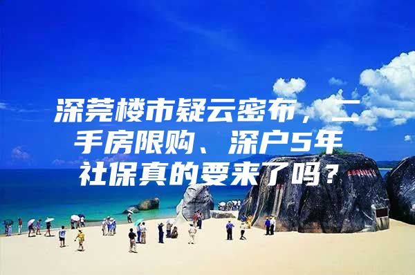 深莞楼市疑云密布，二手房限购、深户5年社保真的要来了吗？