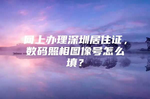 网上办理深圳居住证，数码照相图像号怎么填？