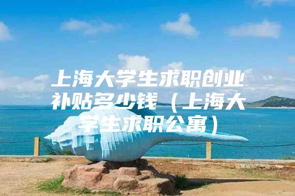 上海大学生求职创业补贴多少钱（上海大学生求职公寓）