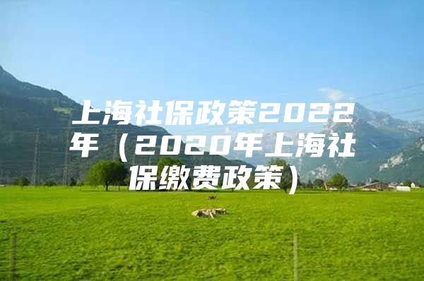 上海社保政策2022年（2020年上海社保缴费政策）