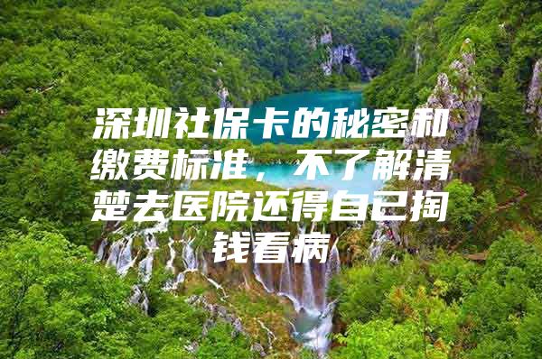 深圳社保卡的秘密和缴费标准，不了解清楚去医院还得自已掏钱看病