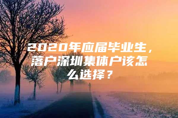 2020年应届毕业生，落户深圳集体户该怎么选择？