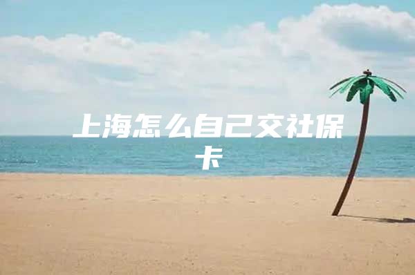 上海怎么自己交社保卡