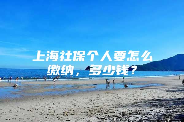 上海社保个人要怎么缴纳，多少钱？