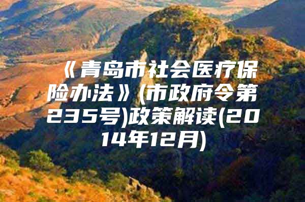 《青岛市社会医疗保险办法》(市政府令第235号)政策解读(2014年12月)