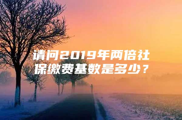 请问2019年两倍社保缴费基数是多少？