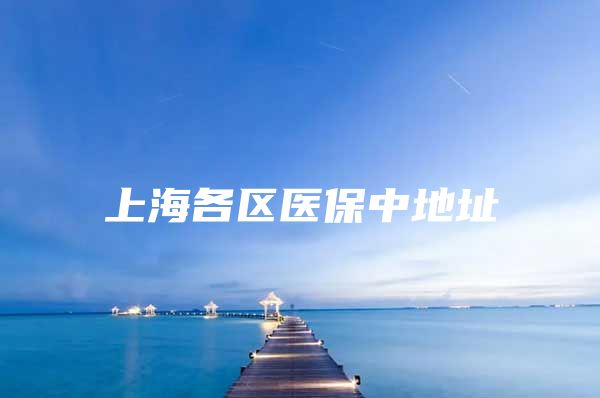 上海各区医保中地址