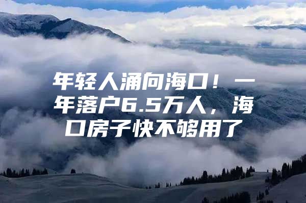 年轻人涌向海口！一年落户6.5万人，海口房子快不够用了