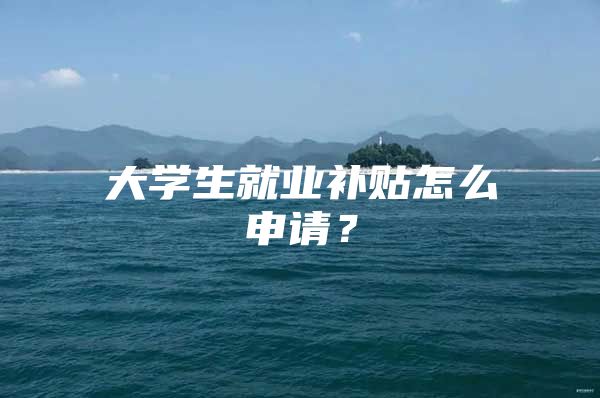 大学生就业补贴怎么申请？