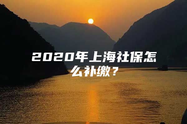 2020年上海社保怎么补缴？