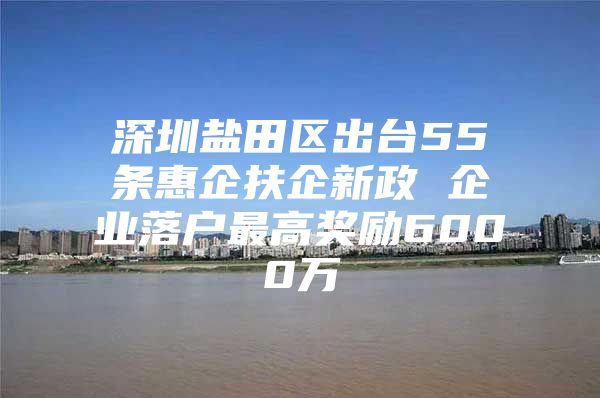 深圳盐田区出台55条惠企扶企新政 企业落户最高奖励6000万