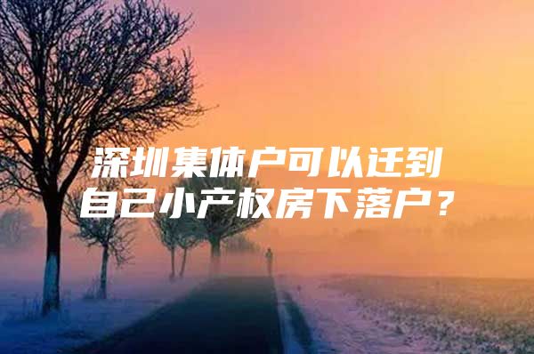 深圳集体户可以迁到自己小产权房下落户？