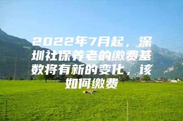 2022年7月起，深圳社保养老的缴费基数将有新的变化，该如何缴费