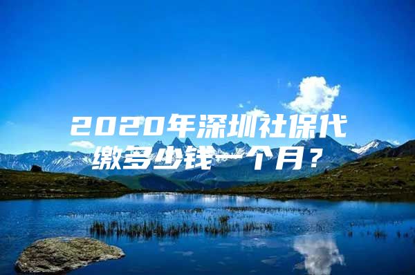 2020年深圳社保代缴多少钱一个月？