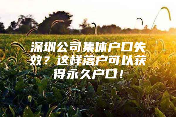 深圳公司集体户口失效？这样落户可以获得永久户口！