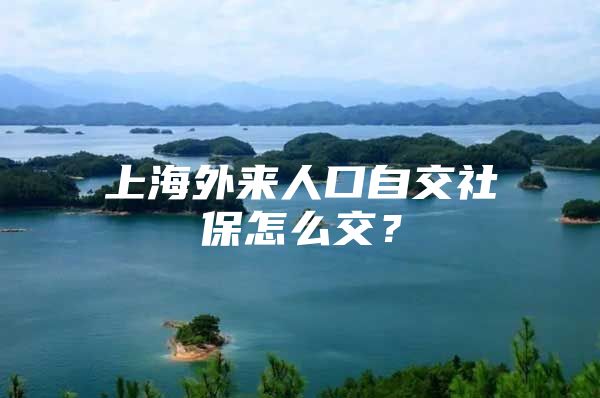 上海外来人口自交社保怎么交？