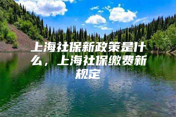 上海社保新政策是什么，上海社保缴费新规定