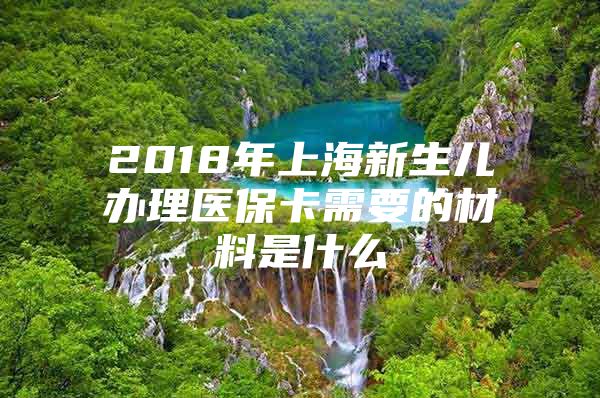 2018年上海新生儿办理医保卡需要的材料是什么