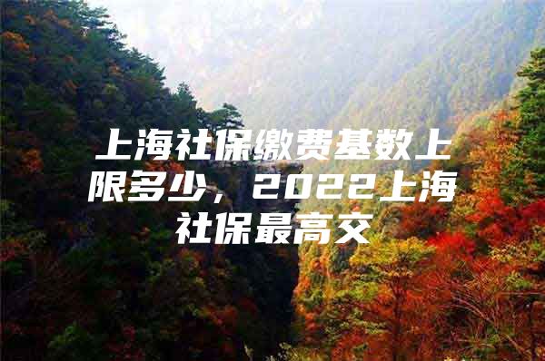 上海社保缴费基数上限多少，2022上海社保最高交