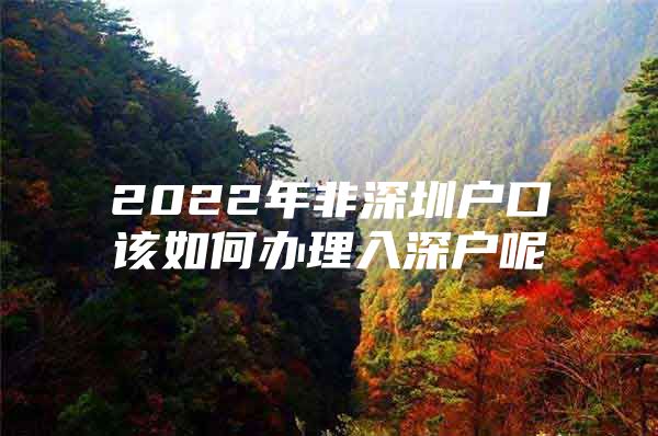 2022年非深圳户口该如何办理入深户呢