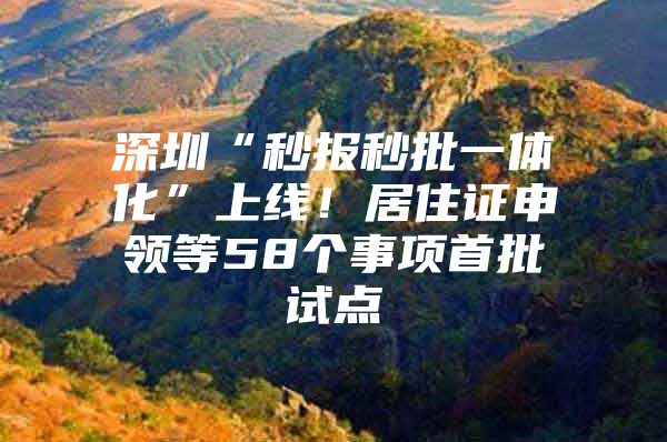 深圳“秒报秒批一体化”上线！居住证申领等58个事项首批试点