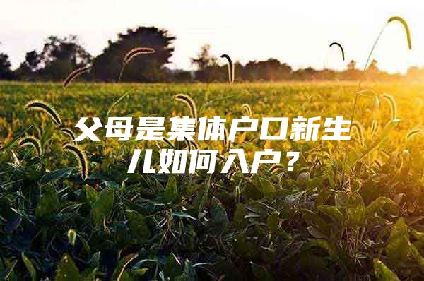 父母是集体户口新生儿如何入户？