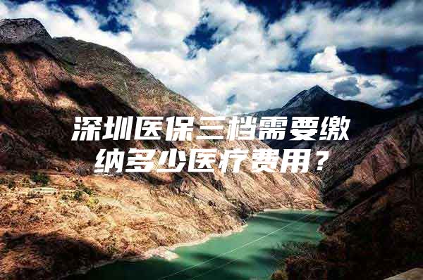 深圳医保三档需要缴纳多少医疗费用？