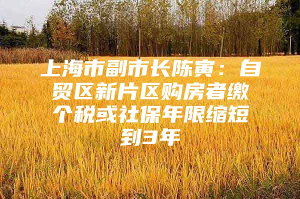 上海市副市长陈寅：自贸区新片区购房者缴个税或社保年限缩短到3年