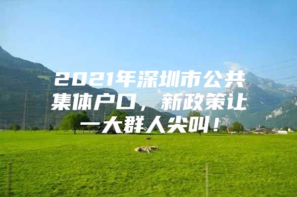 2021年深圳市公共集体户口，新政策让一大群人尖叫！