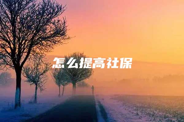 怎么提高社保