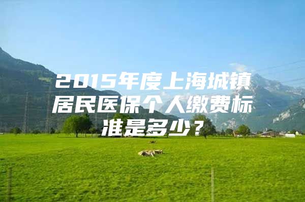 2015年度上海城镇居民医保个人缴费标准是多少？