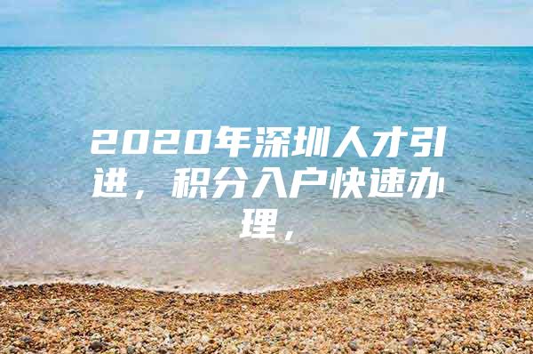 2020年深圳人才引进，积分入户快速办理，