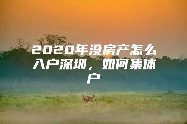 2020年没房产怎么入户深圳，如何集体户