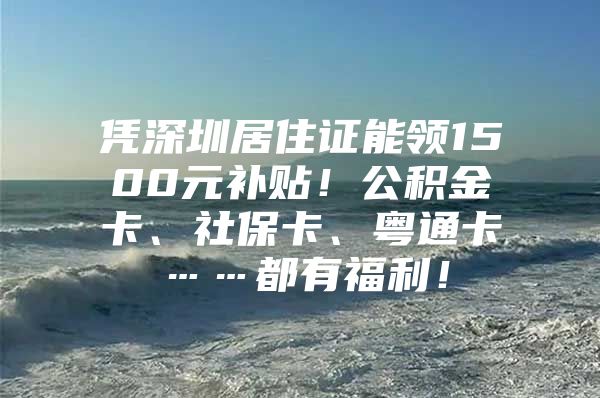 凭深圳居住证能领1500元补贴！公积金卡、社保卡、粤通卡……都有福利！