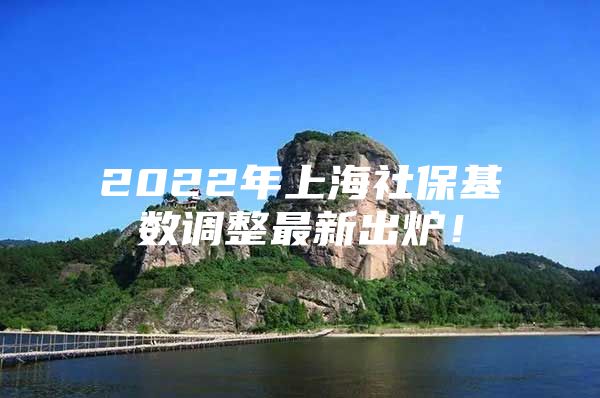 2022年上海社保基数调整最新出炉！