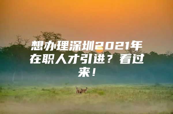 想办理深圳2021年在职人才引进？看过来！